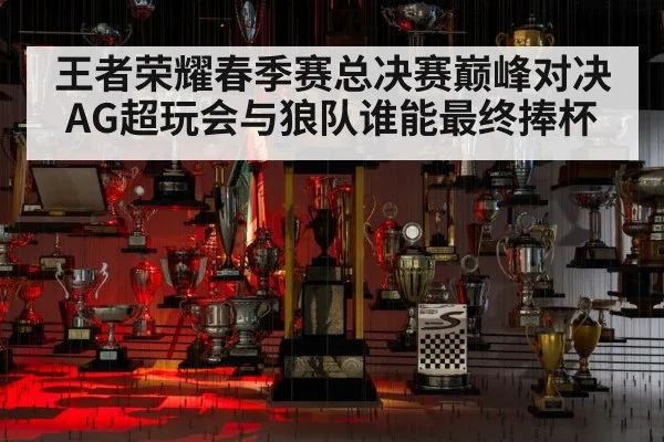 王者荣耀春季赛总决赛巅峰对决 AG超玩会与狼队谁能最终捧杯